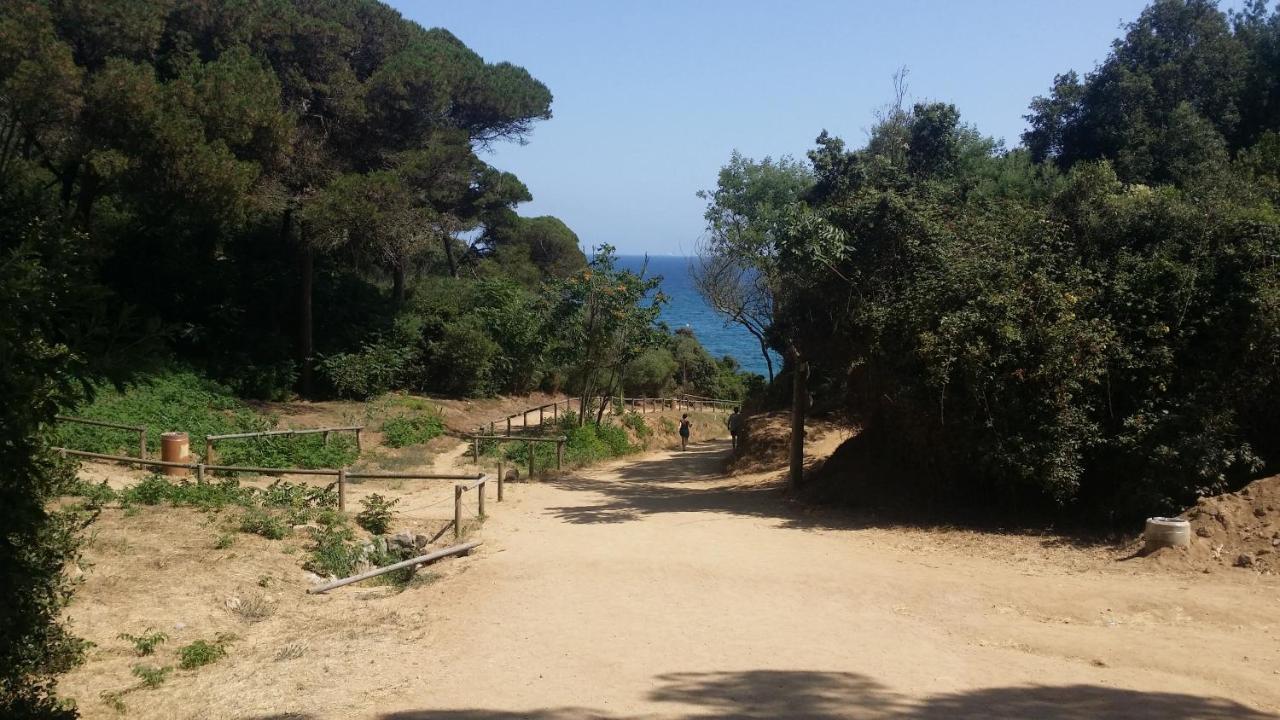 Apartment Sa Boadella Beach, Lloret De Mar - Costa Brava Zewnętrze zdjęcie